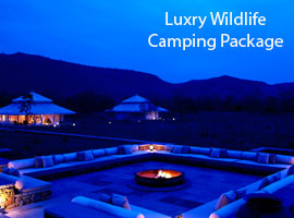 camping tour packages in india