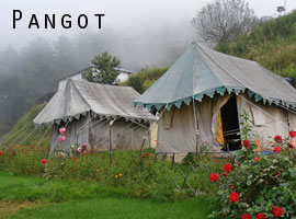 camping tour packages in india